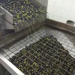 Aparthotel Country