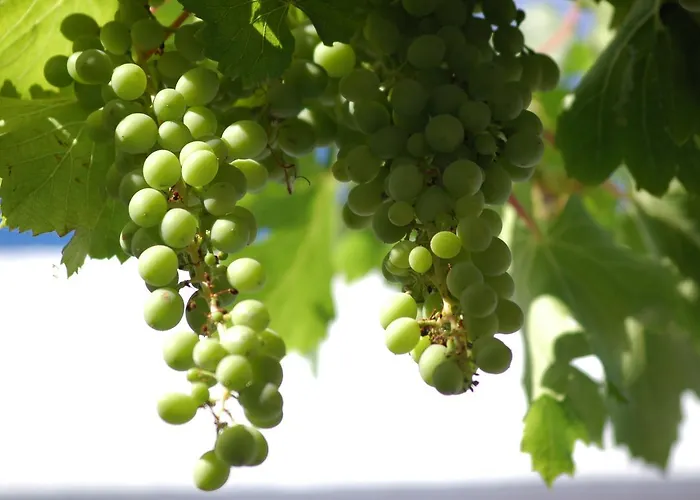 Apartmanhotel Country 3*